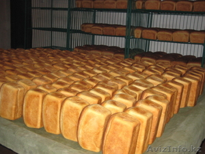 Хлебопекарное оборудование Турция - Изображение #1, Объявление #409041