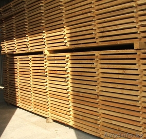 Ангара ООО (Новосибирский филиал)