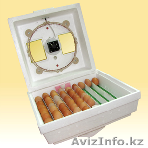 инкубаторы в кызылорда,  Инкубатор для любых видов птиц