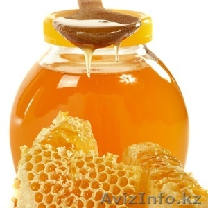 Весовой и порционный мёд оптом от производителя по Казахстану и СНГ, а также про - Изображение #1, Объявление #1012315