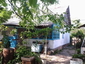 Продажа дома в Турар Рускулов (на берегу реки Арысь) - Изображение #3, Объявление #1096769
