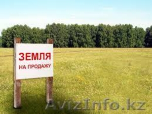 Продам участок 55 га в Тюменской Области