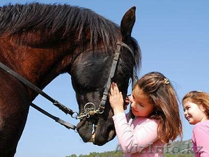Детский ковбойский лагерь в Турции!
