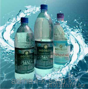 Минеральная вода "Сарыагаш Барс" - Изображение #1, Объявление #1276828