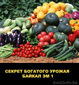 Байкал ЭМ-1  ускоритель роста, продам - Изображение #1, Объявление #1619784
