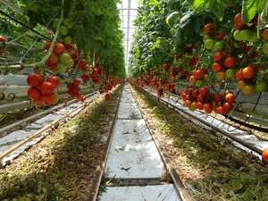 Работа в Европе без опыта