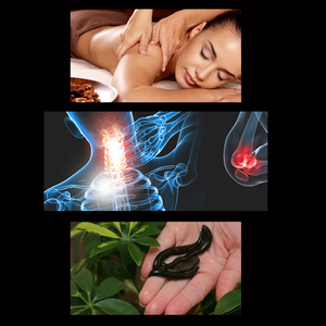 Медицинские услуги: Лечебный массаж,  Физиотерапия,  Гирудотерапия(пиявки)