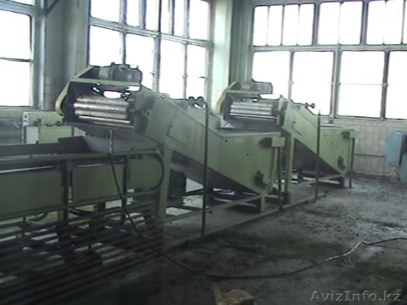 Оборудование для переработки овощей. - Изображение #3, Объявление #192702