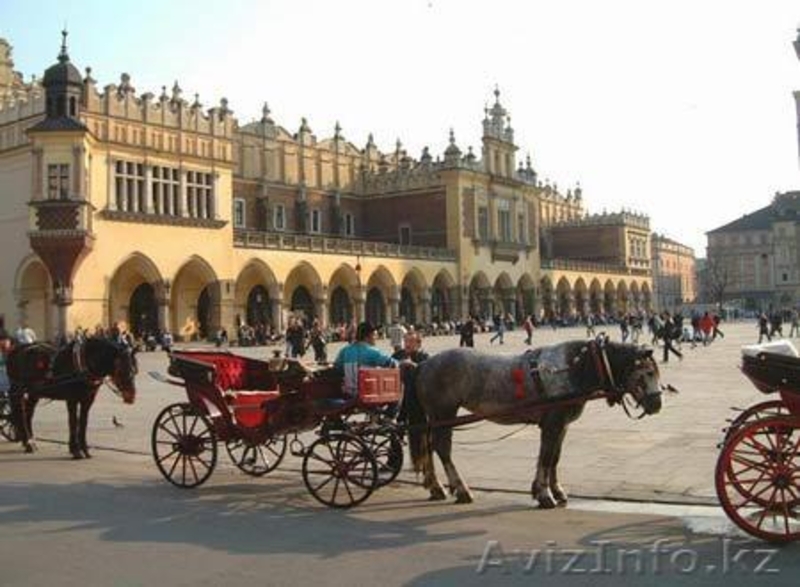 Преподаватель польского языка онлайн - Изображение #2, Объявление #567476