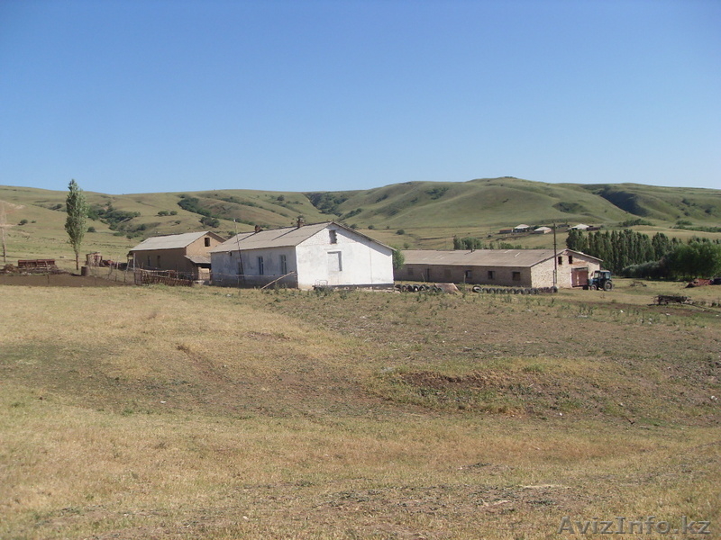 jandarov81@mail.ru - Изображение #3, Объявление #682461