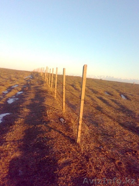 «Западная Европа--Западный Китай» - Изображение #1, Объявление #760216