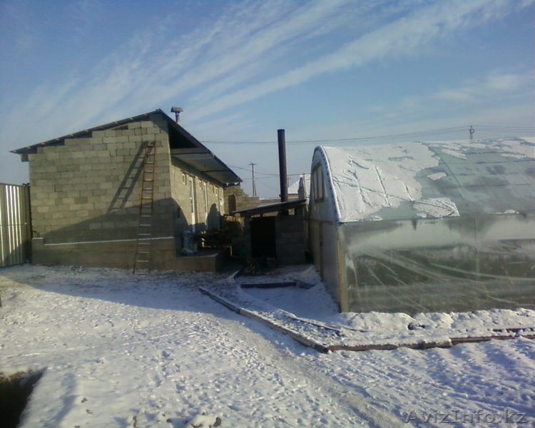 Действующая теплица S-600 м2 - Изображение #4, Объявление #813708