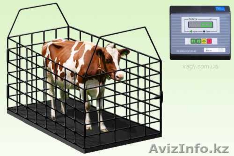 Весы электронные автомобильные - Изображение #2, Объявление #849025