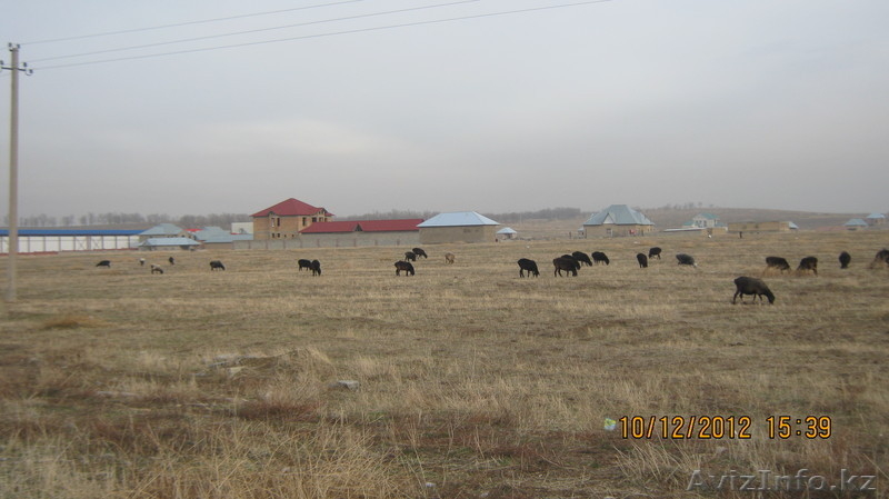 Продается участок 8сот,Северо-Запад. - Изображение #3, Объявление #863534