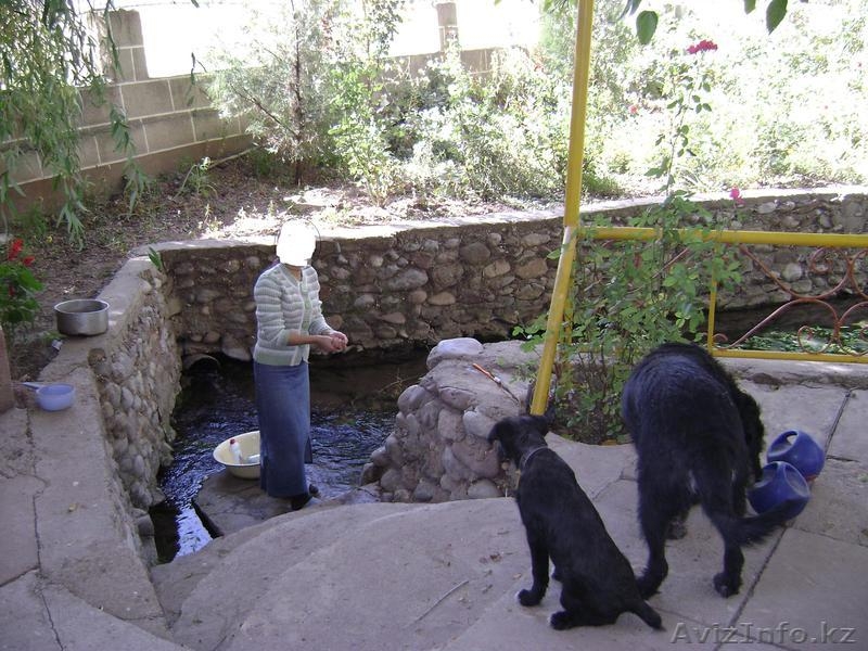 Внимание продается фамильное поместье. - Изображение #2, Объявление #874674