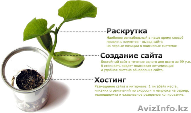 Создание сайтов в Шымкенте,Сервис Центр  - Изображение #2, Объявление #948411
