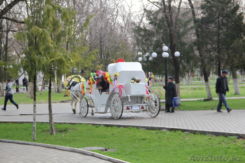 Продам КАРЕТУ (интересный бизнес) в Шымкенте - Изображение #1, Объявление #973879