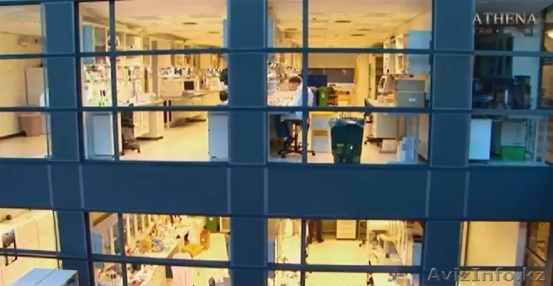 Золотое сияние ATHENA уход за кожей и восстановить клетки - Изображение #9, Объявление #983643