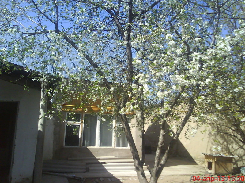 112кв hanzadat@mail.ru 87054852786 - Изображение #1, Объявление #1044680