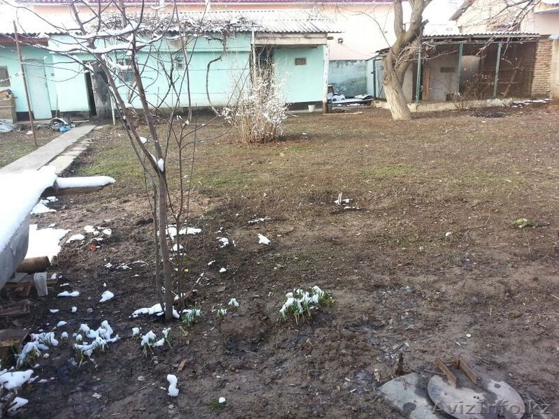 5-комнатный дом  ЮКО Отд.Тельмана, Балуаншолак, дом № 23а - Изображение #8, Объявление #1052801