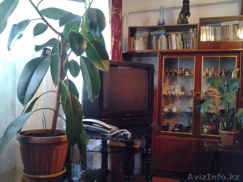 Продажа дома в Турар Рускулов (на берегу реки Арысь) - Изображение #5, Объявление #1096769