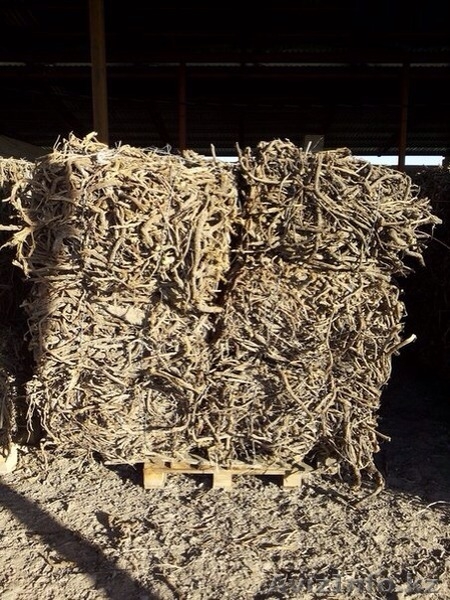 Раушан, 19710313@mail.ru. 8-771-805-66-44 - Изображение #4, Объявление #1089719