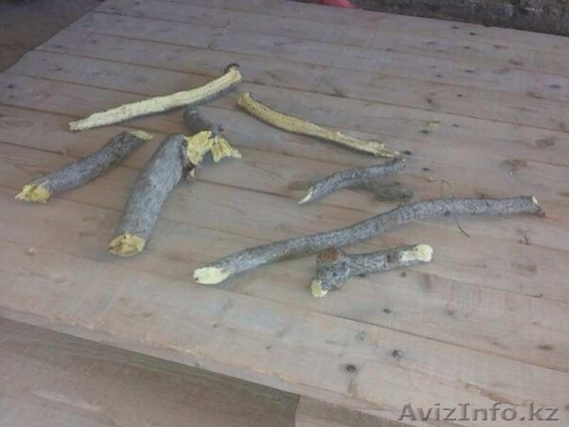 Раушан, 19710313@mail.ru. 8-771-805-66-44 - Изображение #7, Объявление #1089719