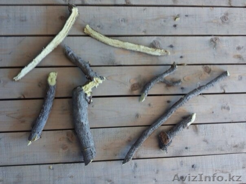 Раушан, 19710313@mail.ru. 8-771-805-66-44 - Изображение #6, Объявление #1089719