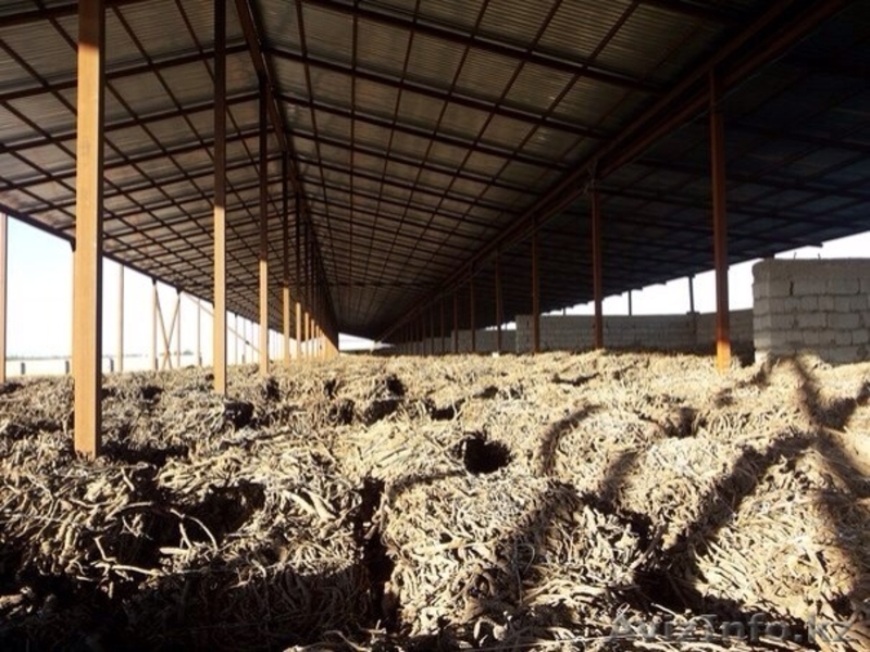 Раушан, 19710313@mail.ru. 8-771-805-66-44 - Изображение #5, Объявление #1089719