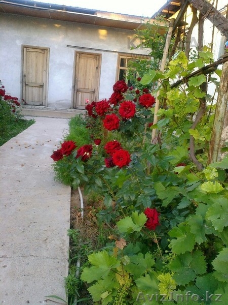 ПРОДАМ ХОРОШИЙ ДОМ ИЛИ ОБМЕНЯЮ - Изображение #2, Объявление #1113859