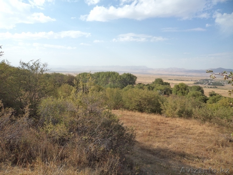 Продам земельные участки вблизи заповедной зоны ЮКО  - Изображение #7, Объявление #1143511