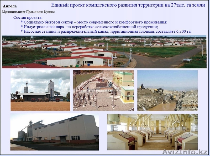 Cопровождение проектов в сельском хозяйстве. - Изображение #4, Объявление #1157701