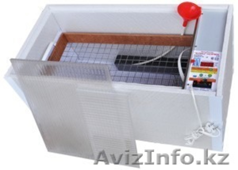 инкубатор в шымкенте, Инкубатор автоматический, качественный, новый! - Изображение #1, Объявление #1212498