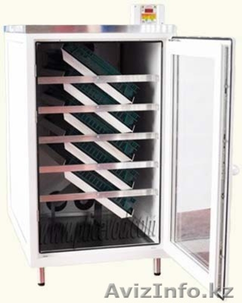 Инкубатор Российский на 520 яиц, Полностью автоматический! - Изображение #1, Объявление #1212507