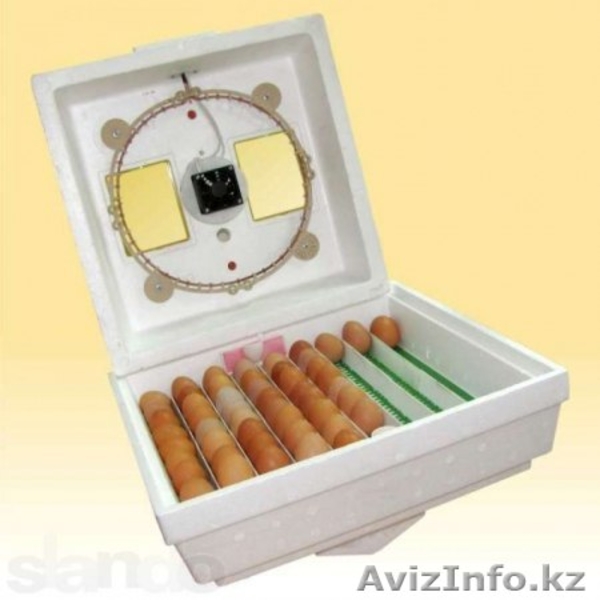 инкубатор купить - Изображение #2, Объявление #1247571