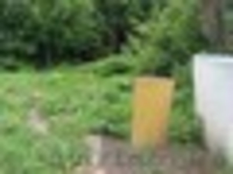 Продам дачу, Кайнар Булак - Изображение #2, Объявление #1266148