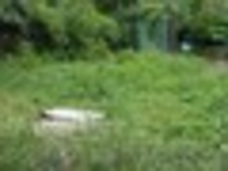 Продам дачу, Кайнар Булак - Изображение #3, Объявление #1266148