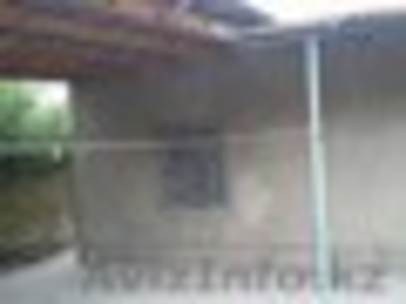 Продам дачу, Кайнар Булак - Изображение #5, Объявление #1266148