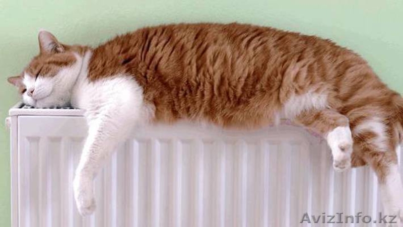 Отопление всех видов - Изображение #2, Объявление #1385260