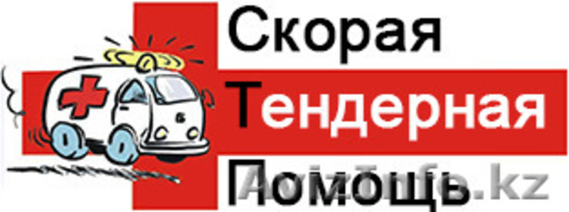 Полное сопровождение в государственных закупках и тендерах!  - Изображение #1, Объявление #1383862