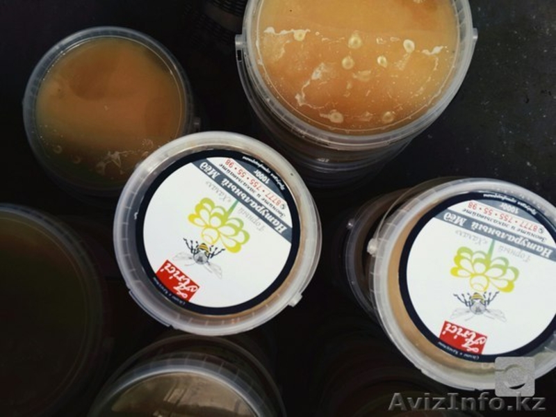 Натуральный Мед Натуральный Мед Натуральный Мед Натуральный Мед Натуральный Мед  - Изображение #2, Объявление #1445330