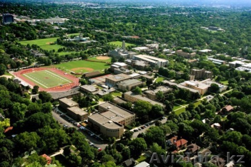 MBA Онлайн (Рейтинговый Американский диплом) - Изображение #2, Объявление #1454895