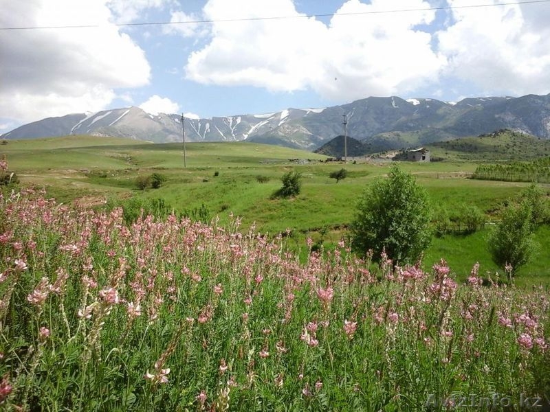 Мед натуральный горный со своей пасеки качество гарантирую - Изображение #3, Объявление #1478651
