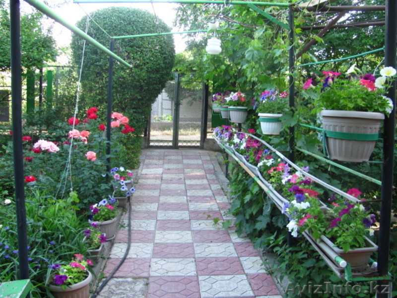 Продам дом в тихом уютном уголке - Изображение #2, Объявление #1570234