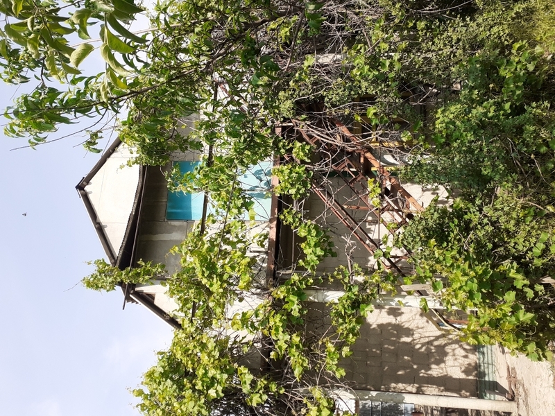 Продажа дачи на Шубарсу1 - Изображение #2, Объявление #1710655