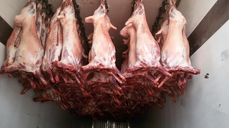 Замороженное Мясо из Монголии.... - Изображение #1, Объявление #1726594