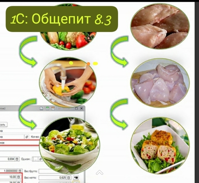 Курсы 1С: Общепит 8.3 + Бухгалтер-калькулятор - Изображение #1, Объявление #1604005